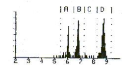 RAD7連續(xù)測氡儀說明書-5