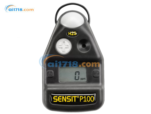 SS P100單一氣體檢測(cè)儀