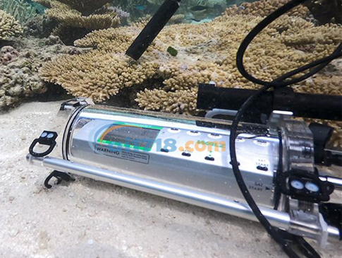 DIVING-PAM-II 帶微型光譜儀的水下熒光計(jì)